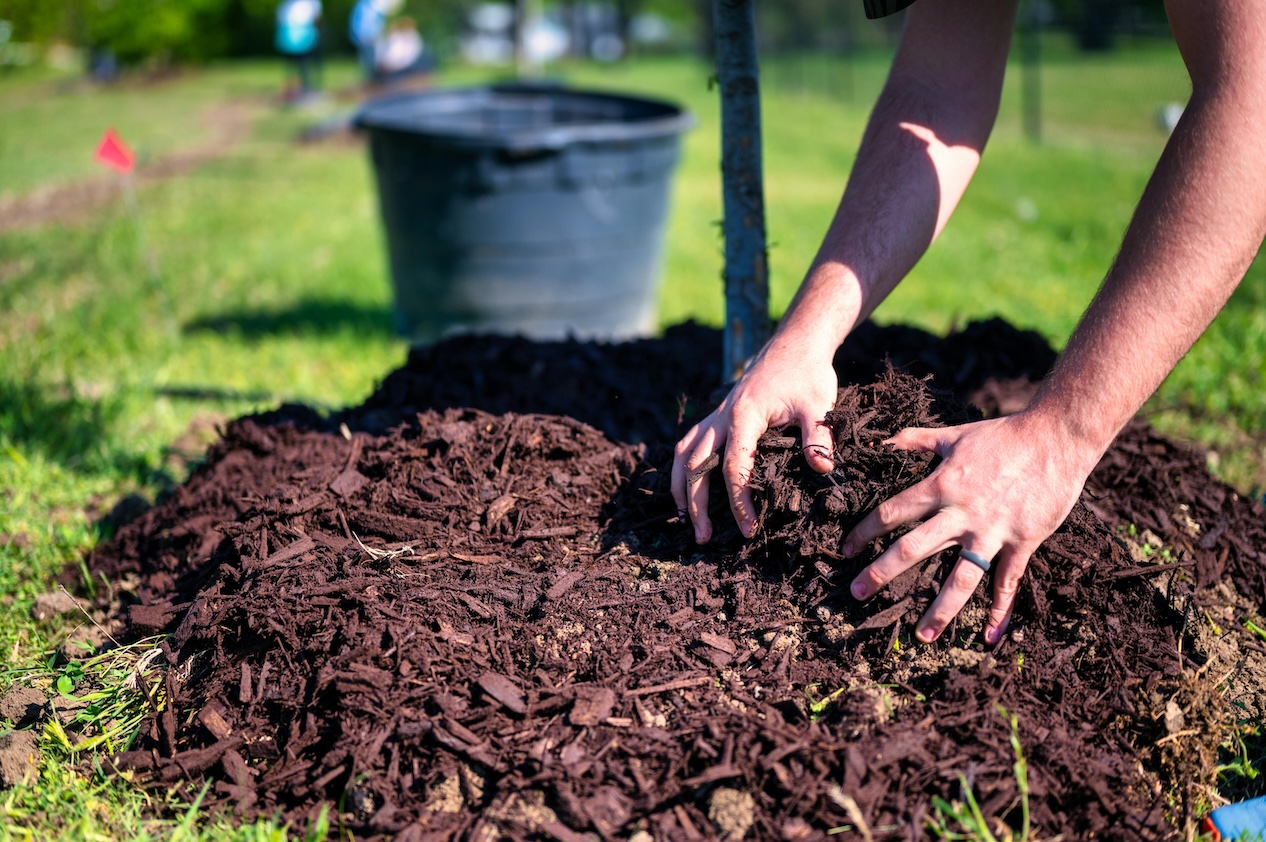 Capital Mulch Company - Quality Landscape Materials